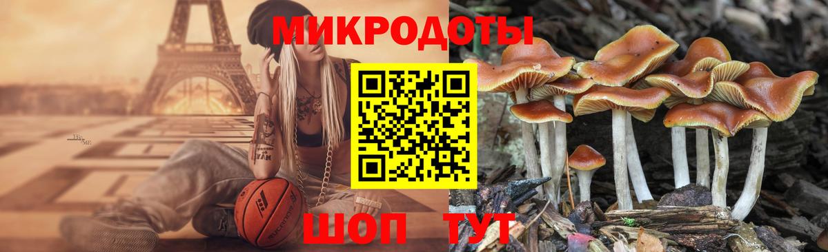 Псилоцибиновые грибы прущие грибы  Вход с VPN  Курчалой 