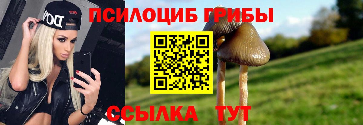 Галлюциногенные грибы Cubensis Курчалой